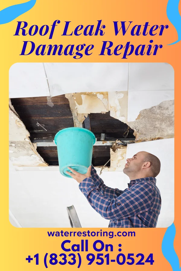 Roof Leak Water Damage Repair in Klein, MT